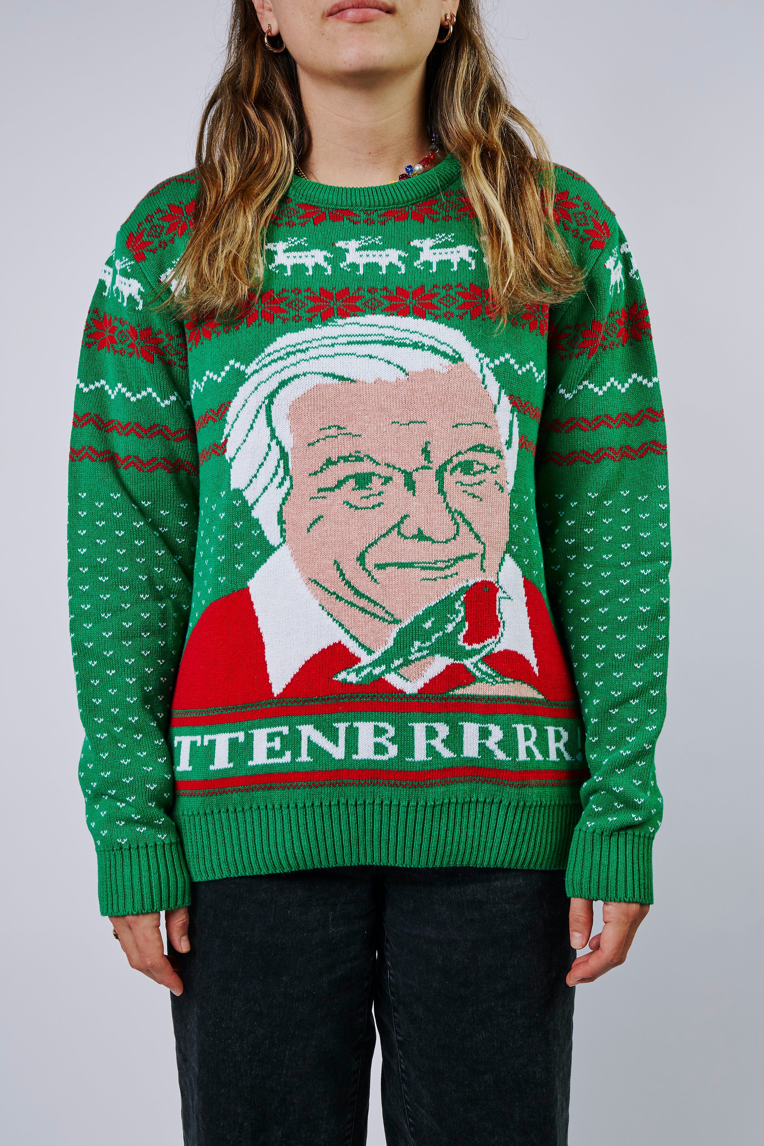 (50% Recycled) Attenbrrr: David Attenborough Knitted Christmas Jumper - notjust