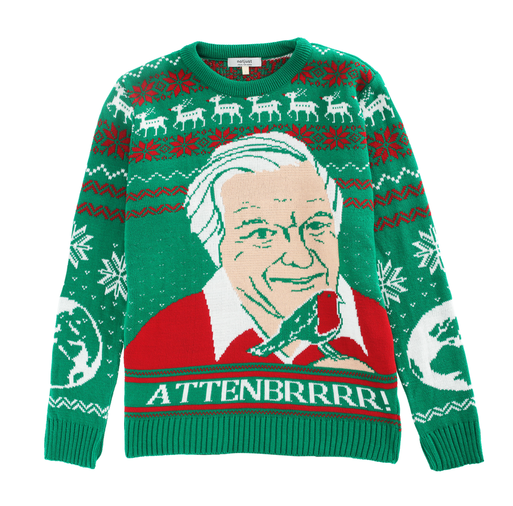 (50% Recycled) Attenbrrr: David Attenborough Knitted Christmas Jumper