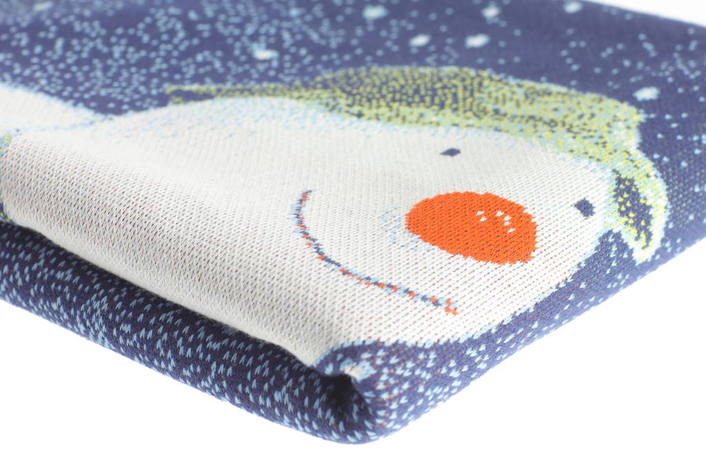 Raymond Briggs' The Snowman Knitted Blanket